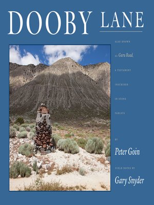 cover image of Dooby Lane
